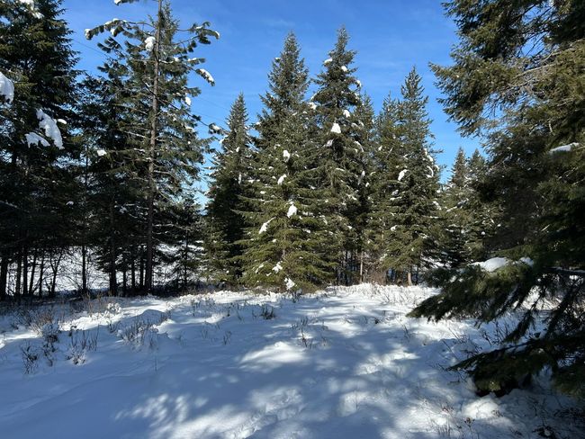 5 Red Fir Ln, Home with 0 bedrooms, 0 bathrooms and null parking in Noxon MT | Image 23