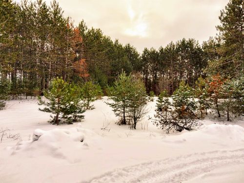 1 Ringneck Ln, Buckley, MI, 49620 | Card Image