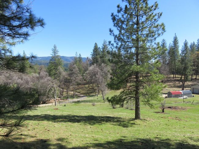 4196 Bald Mountain Rd, Home with 0 bedrooms, 0 bathrooms and null parking in West Point CA | Image 5