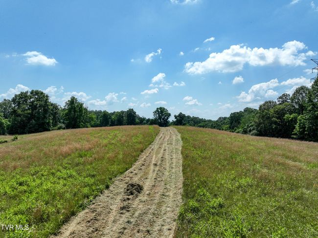 133 Devault Bridge Rd, Home with 0 bedrooms, 0 bathrooms and null parking in Piney Flats TN | Image 9