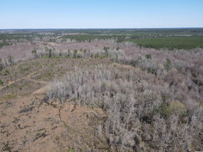 00 Highway 278 Highway, Home with 0 bedrooms, 0 bathrooms and null parking in Rosston AR | Image 26