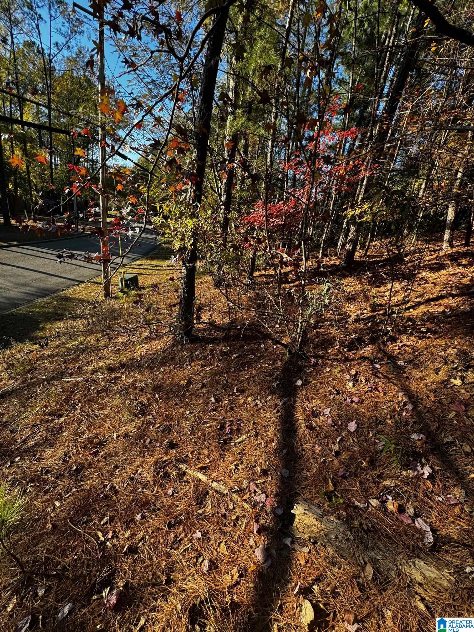 Land in VESTAVIA HILLS 4