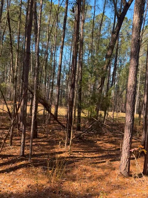 450 River Bluff Trl, Saint Stephen, SC, 29479-4162 | Card Image