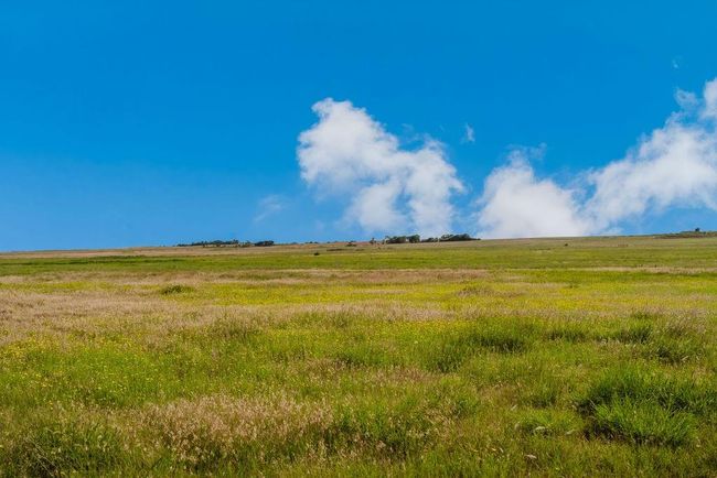View of land with rural landscape | Image 38