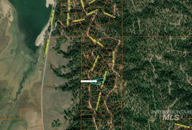 470 Collier View Rd, Home with 0 bedrooms, 0 bathrooms and null parking in Cascade ID | Image 9