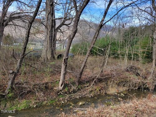 Tbd Shawnee Avenue, Big Stone Gap, VA, 24219 | Card Image