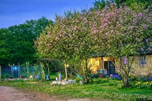3640 Van Zandt County Road, Ben Wheeler, TX, 75754 | Card Image