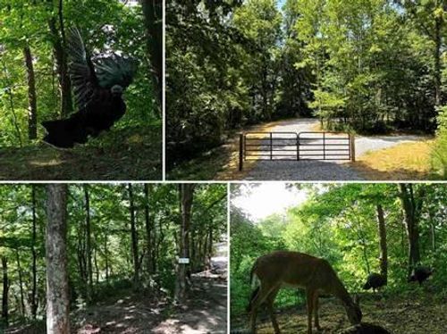 tract-6-at-titus-32964 Parkinson Rd, Middleport, OH, 45760 | Card Image