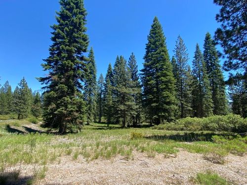 2-E-15 Snowline Cir, Mccloud, CA, 96057 | Card Image