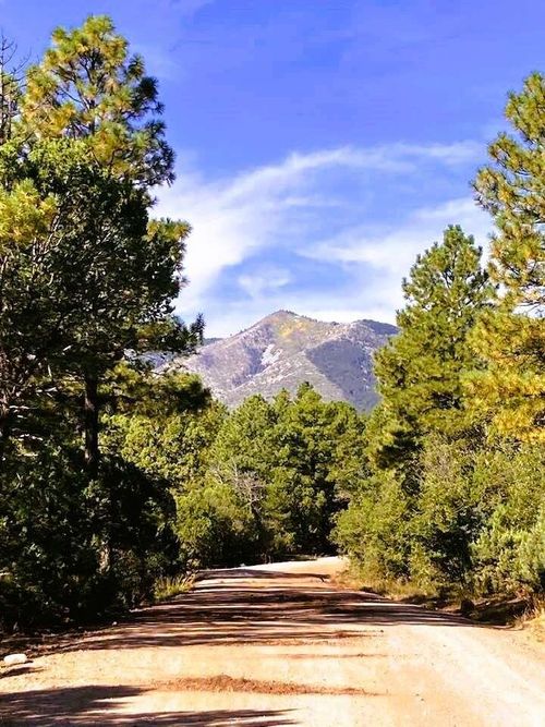 256 Red Canyon Rd, Mountainair, NM, 87036 | Card Image