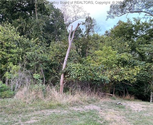 0 Pinnel St, Cottageville, WV, 25239 | Card Image