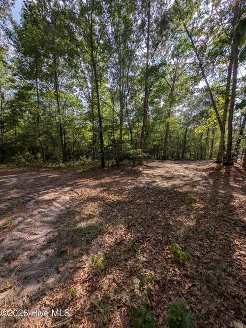Tbd Peyton Drive, Eagle Springs, NC, 27242 | Card Image