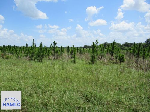 0 E Pecan Rd, Glennville, GA, 30427 | Card Image