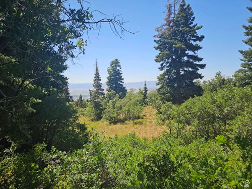 1002-1002 E North Fork Rd S, Fairview, UT, 84629 | Card Image