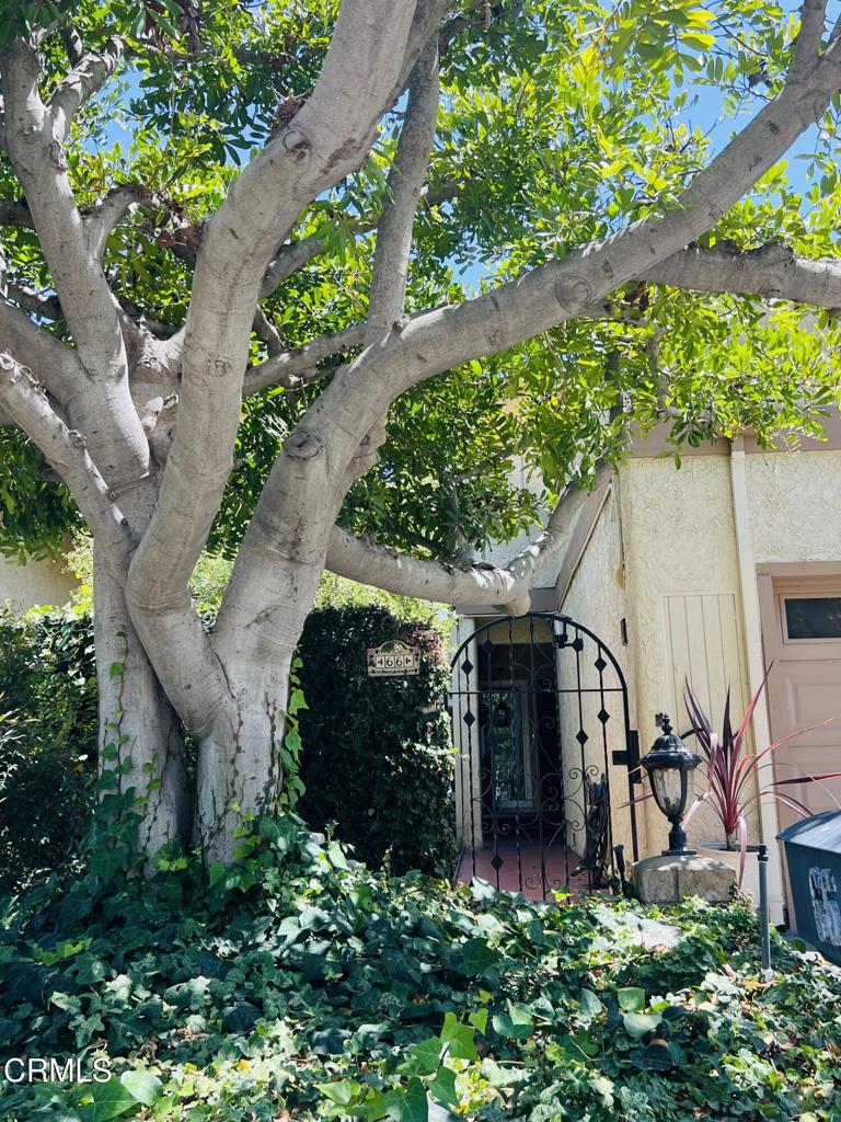 Residential in Camarillo 4
