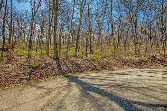 1316 S Springs Dr, Home with 0 bedrooms, 0 bathrooms and null parking in Spring Green WI | Image 4
