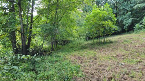 00 Dry Stone Branch Road, Mountain City, TN, 37683 | Card Image