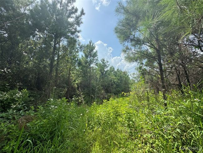 0 Highway 106 E, Home with 0 bedrooms, 0 bathrooms and null parking in Georgiana AL | Image 10