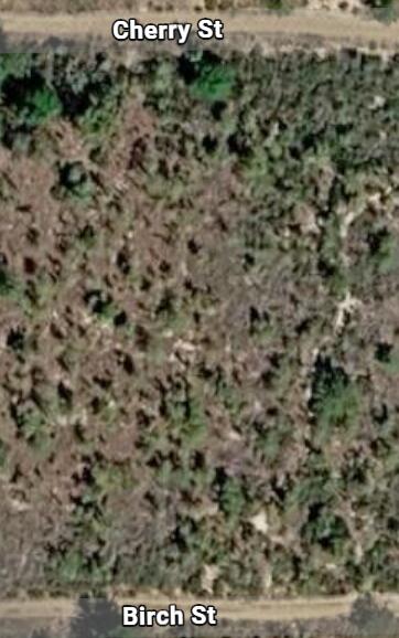 Land in Interlachen