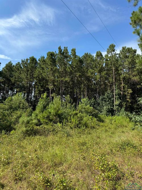 TBD County Road 448, Carthage, TX, 75633 | Card Image