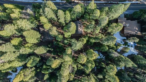 3099 Apache Road, Dorrington, CA, 95223 | Card Image
