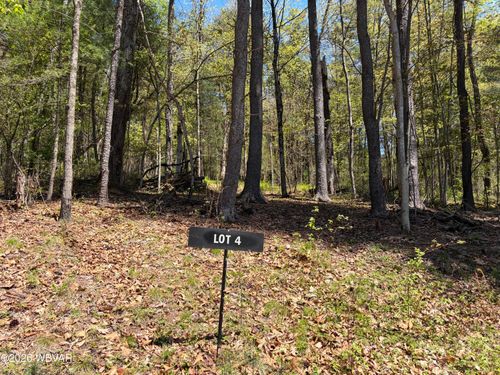 lot-4-PARCEL 112 Tallman Hollow Road, Montoursville, PA, 17754 | Card Image