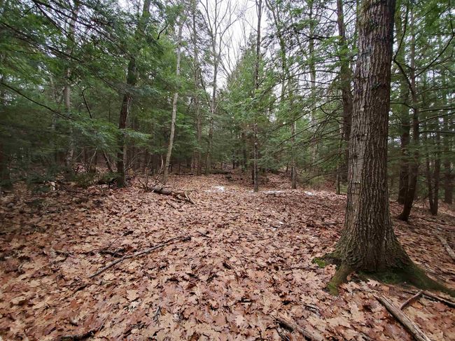 00 Berry Farms Rd, Home with 0 bedrooms, 0 bathrooms and null parking in Bristol NH | Image 25