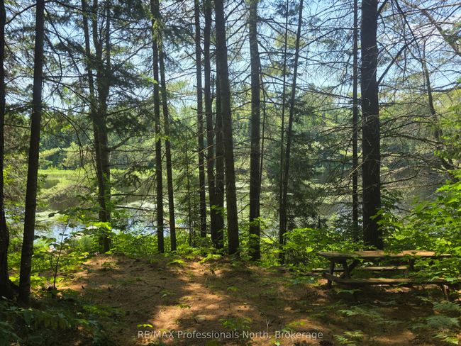 1134 Walker Line Rd, Home with 0 bedrooms, 0 bathrooms and null parking in Algonquin Highlands ON | Image 11