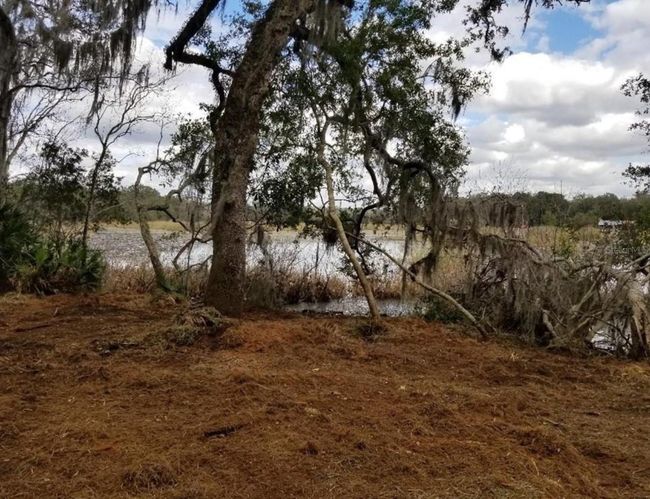 1005 N Pennybacker Rd, Home with 0 bedrooms, 0 bathrooms and null parking in Inverness FL | Image 5