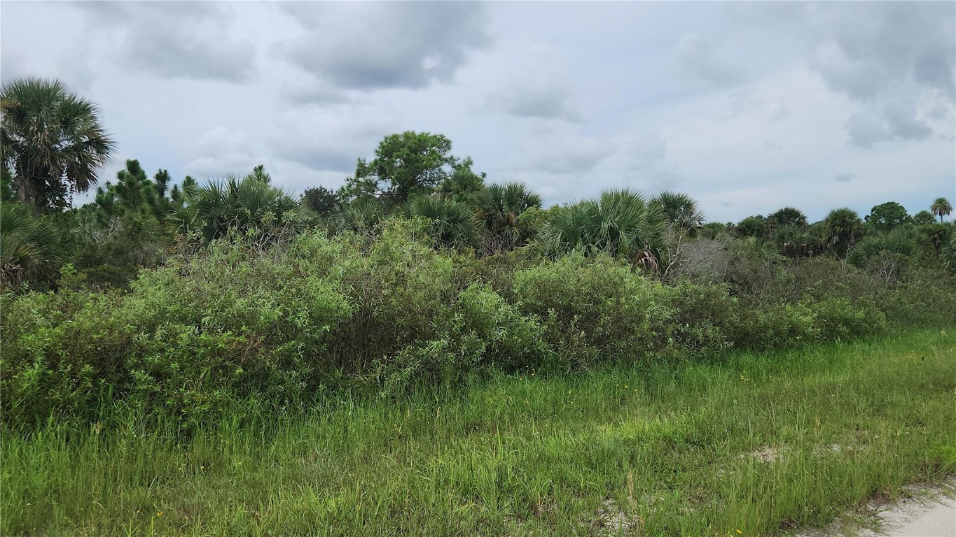 Land in Okeechobee 2