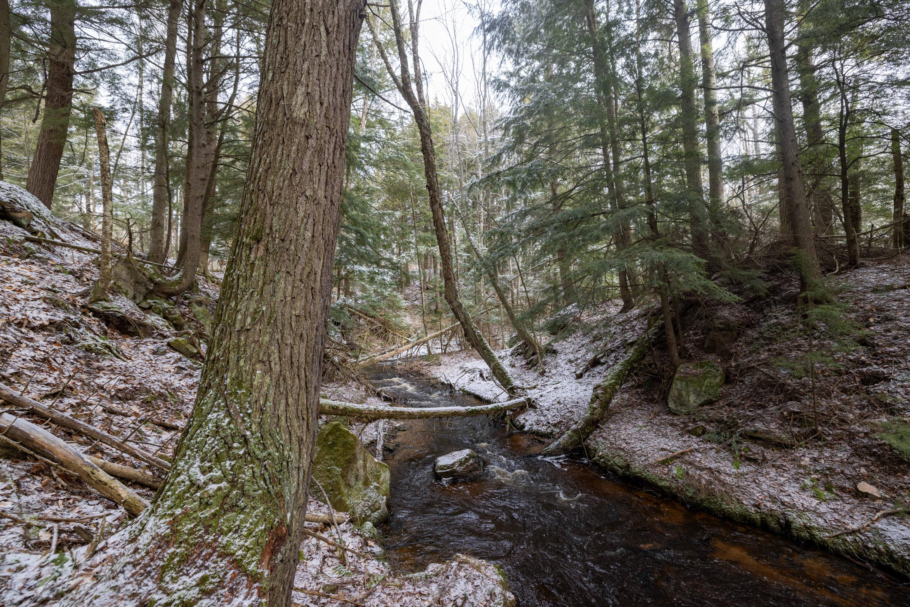 Joel Creek Rd, Au Train, MI 49806