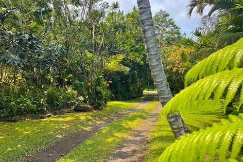 13-3643 Pomaikai St, Pahoa, HI, 96778-8311 | Card Image