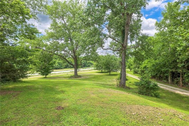 View of green lawn | Image 56