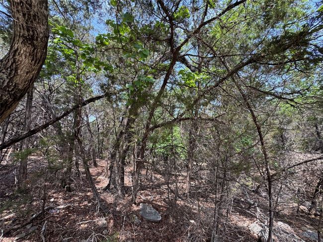 6802 Brewer Cv, Home with 0 bedrooms, 0 bathrooms and null parking in Lago Vista TX | Image 4