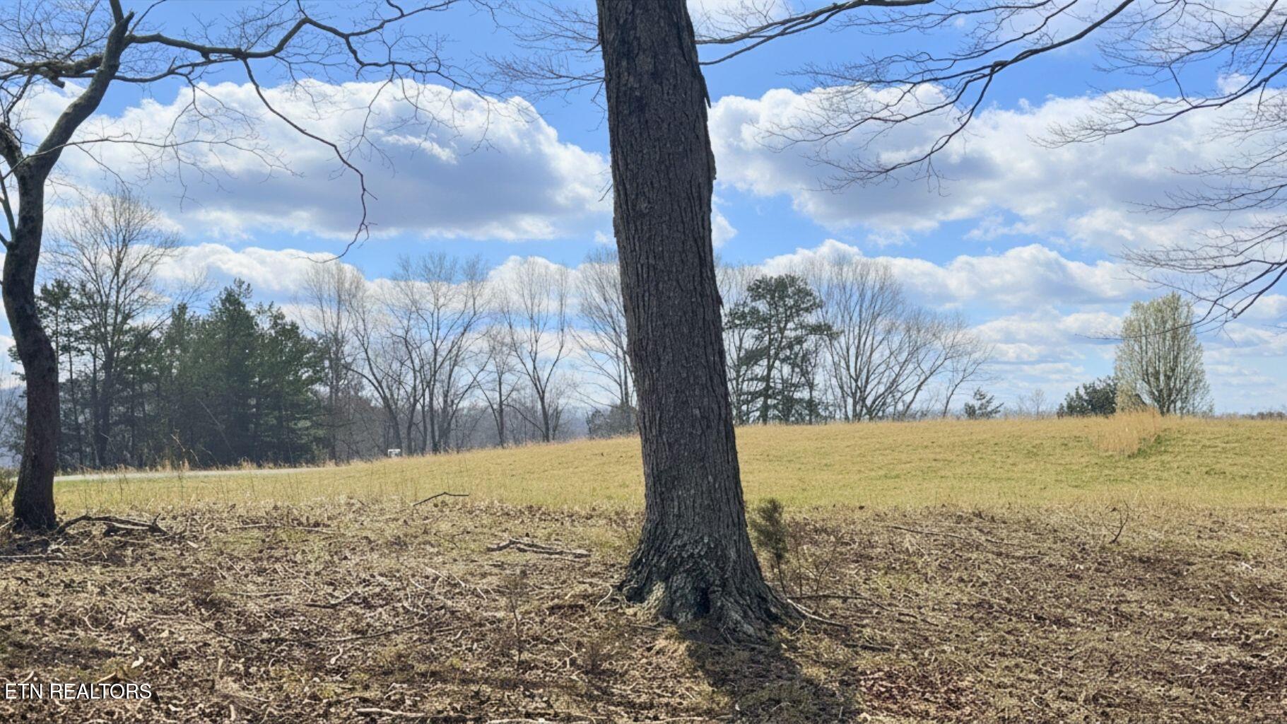 Land in LaFollette 3