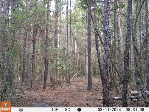 0000 County Road 3401, De Kalb, TX, 75559 | Card Image