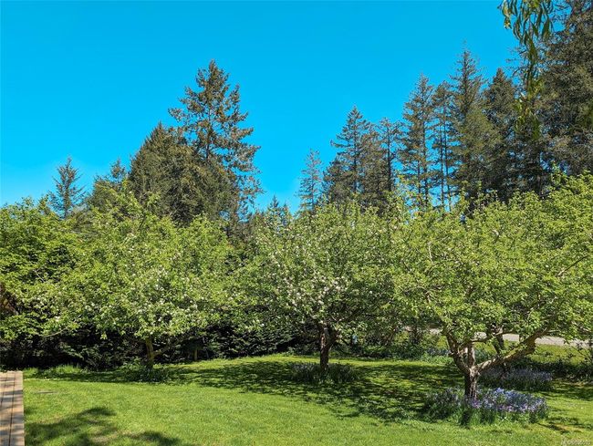 585 Wildwood Cres, House other with 1 bedrooms, 1 bathrooms and 3 parking in Gabriola Island BC | Image 56