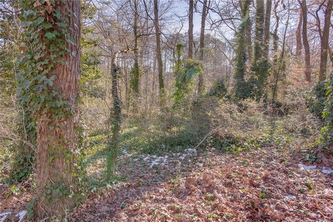 605 Spruce Dr, Home with 0 bedrooms, 0 bathrooms and null parking in Pine Lake GA | Image 4