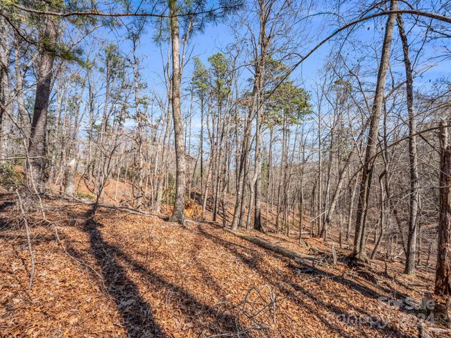 25 - 000 Forester Ln, Home with 0 bedrooms, 0 bathrooms and null parking in Mill Spring NC | Image 7