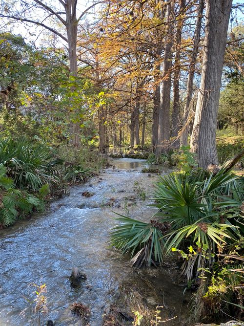 970 Branch Xing, Spring Branch, TX, 78070-3537 | Card Image