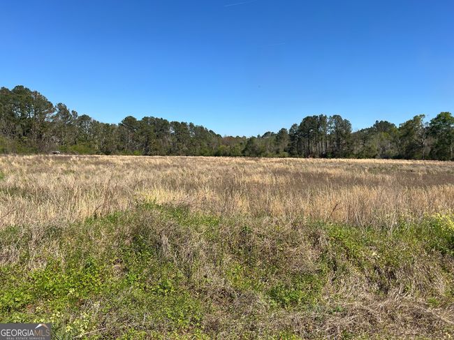 142 Norman Cole Rd, Home with 0 bedrooms, 0 bathrooms and null parking in Nicholls GA | Image 11