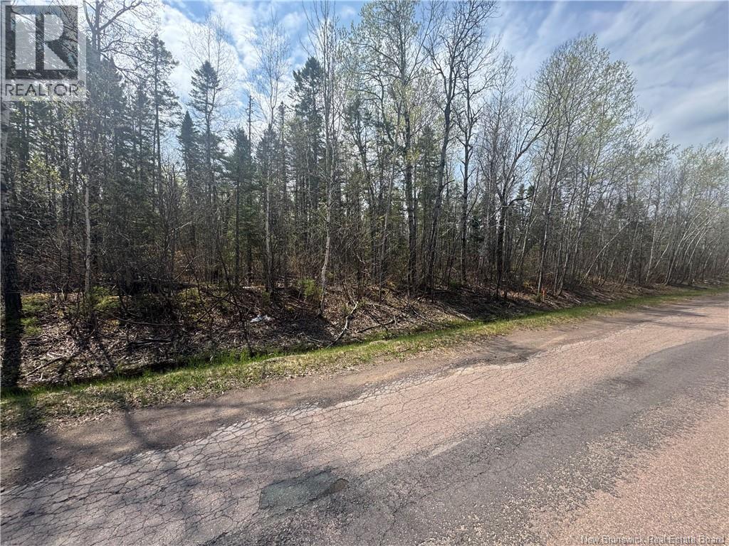 Land in Shediac Cape 4