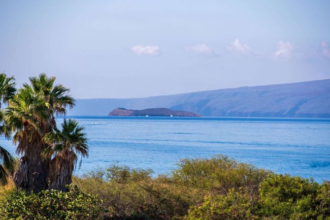 408 - 2695 S Kihei Rd, Condo with 2 bedrooms, 2 bathrooms and null parking in Kihei HI | Image 35