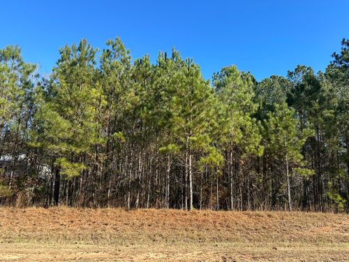 Lot 62 Wisteria Dr, Lincolnton, GA, 30817 | Card Image