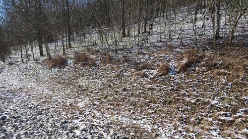 0 Bella Grace Dr, Smithville, TN, 37166 | Card Image