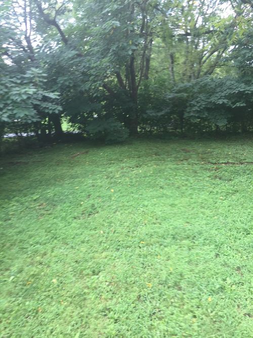 0 Broodon Rd S, Ripley, TN, 38063 | Card Image