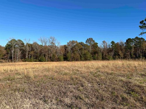 178 Eagle Creek Dr, Diana, TX, 75640-4102 | Card Image