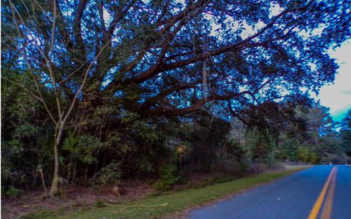 TBD Sw Kimberly Ln, LAKE CITY, FL, 32024 | Card Image