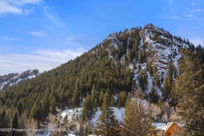B202 - 503 W Main St, Condo with 3 bedrooms, 3 bathrooms and 1 parking in Aspen CO | Image 21