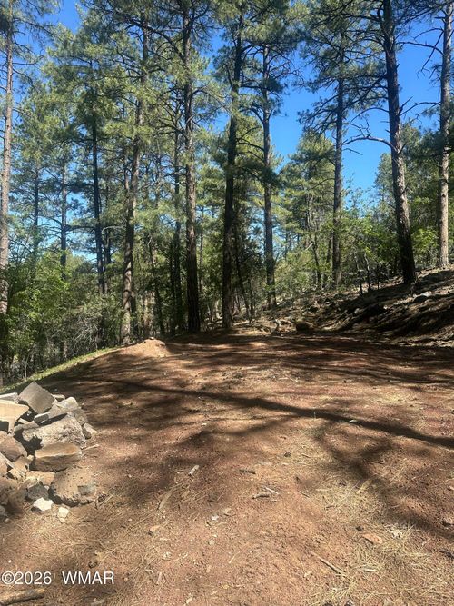 230 W Pine Shadow Drive, Lakeside, AZ, 85929 | Card Image